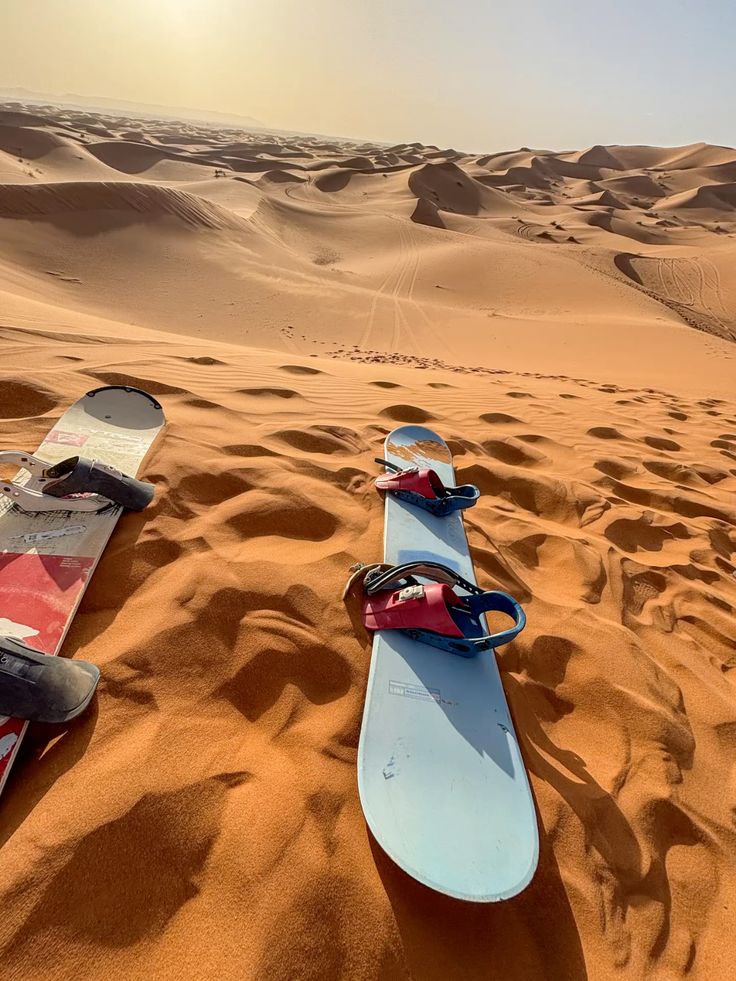 Sandboarding in the Dunes