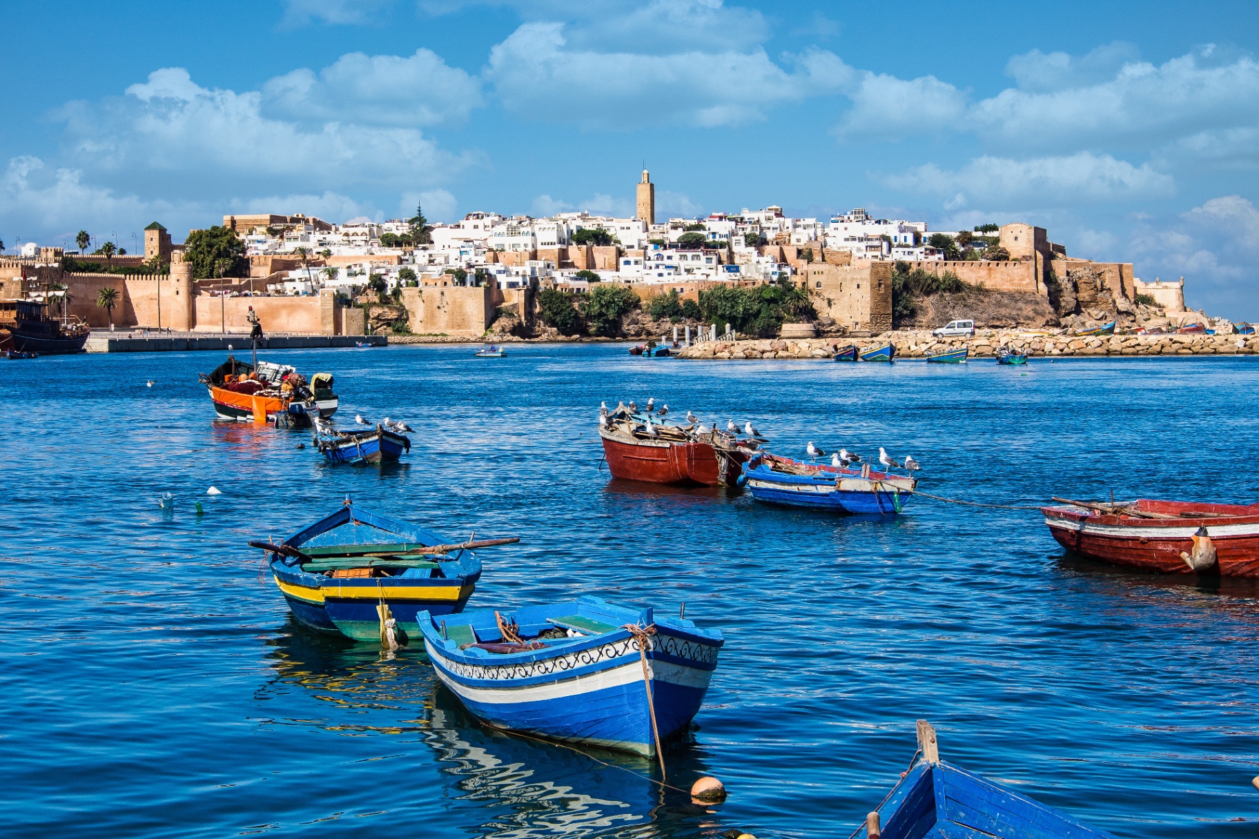 Casablanca to Fes via Rabat: The Imperial Route to Fes