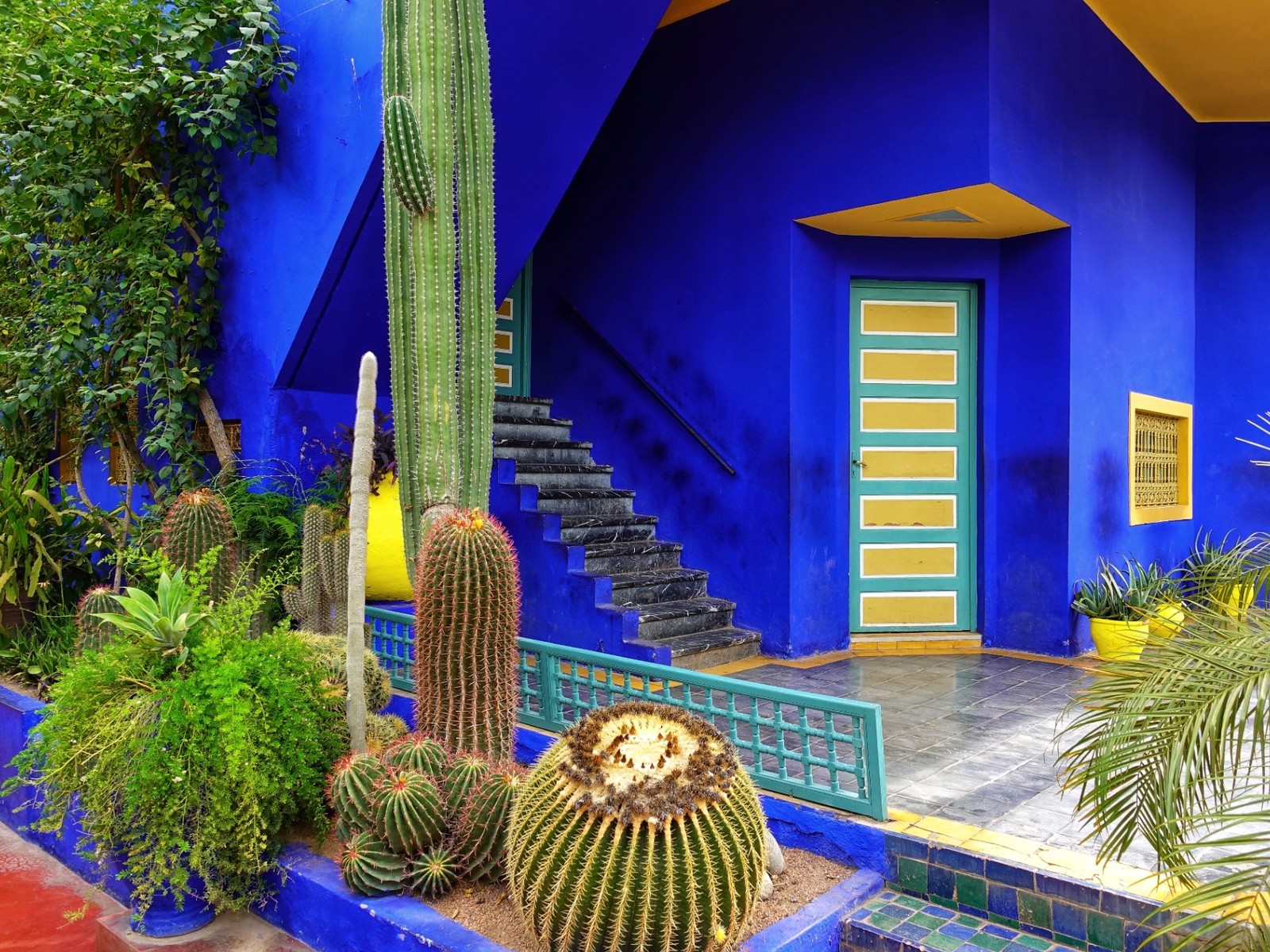 Majorelle Garden & Yves Saint Laurent Museum