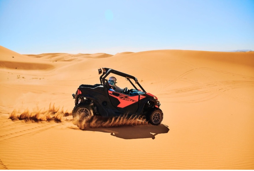 Buggy Ride in the Dunes